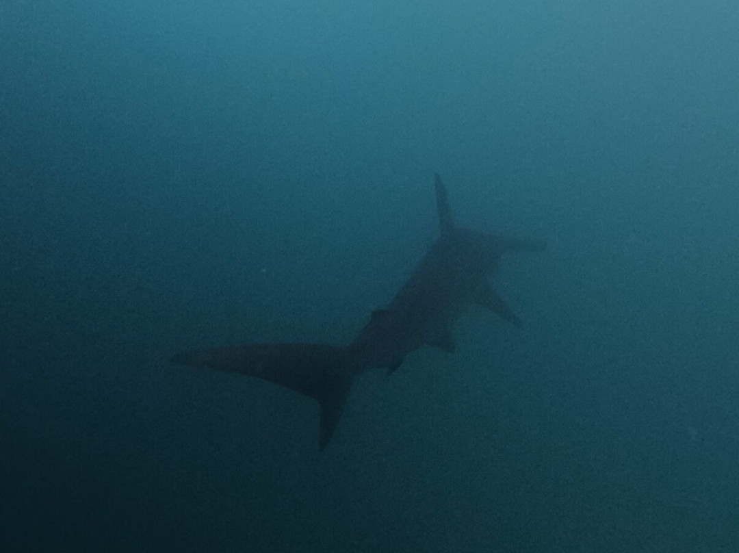 Eco-Challenger Galapagos Tour Agency-圣克里斯托瓦尔必去景点