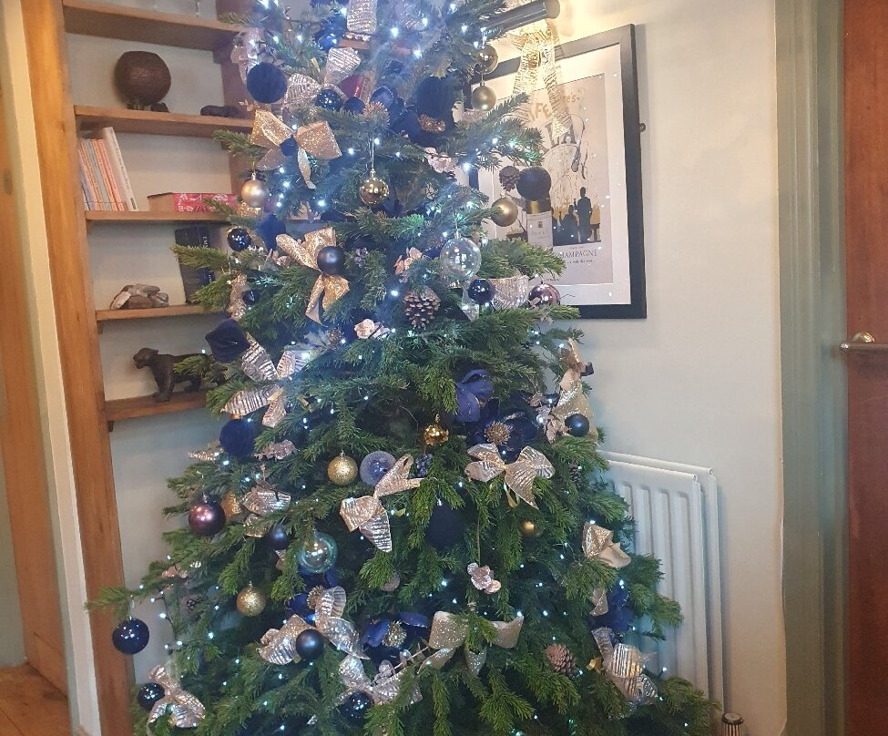 The Old Fourpenny Shop Hotel主图