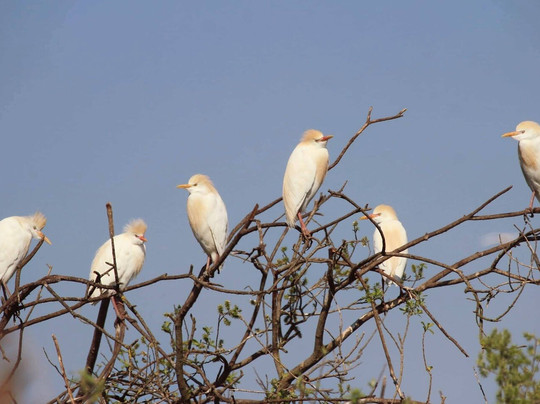 Oasi Valle Brusà-Cerea必去景点