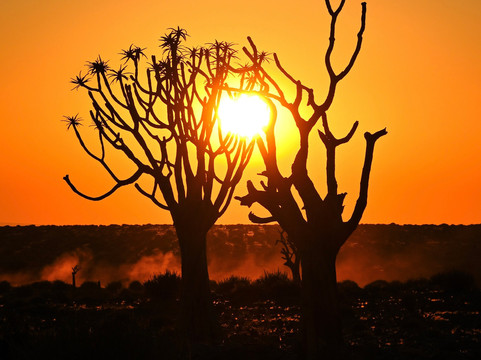 Rare Earth Tours-温德和克必去景点