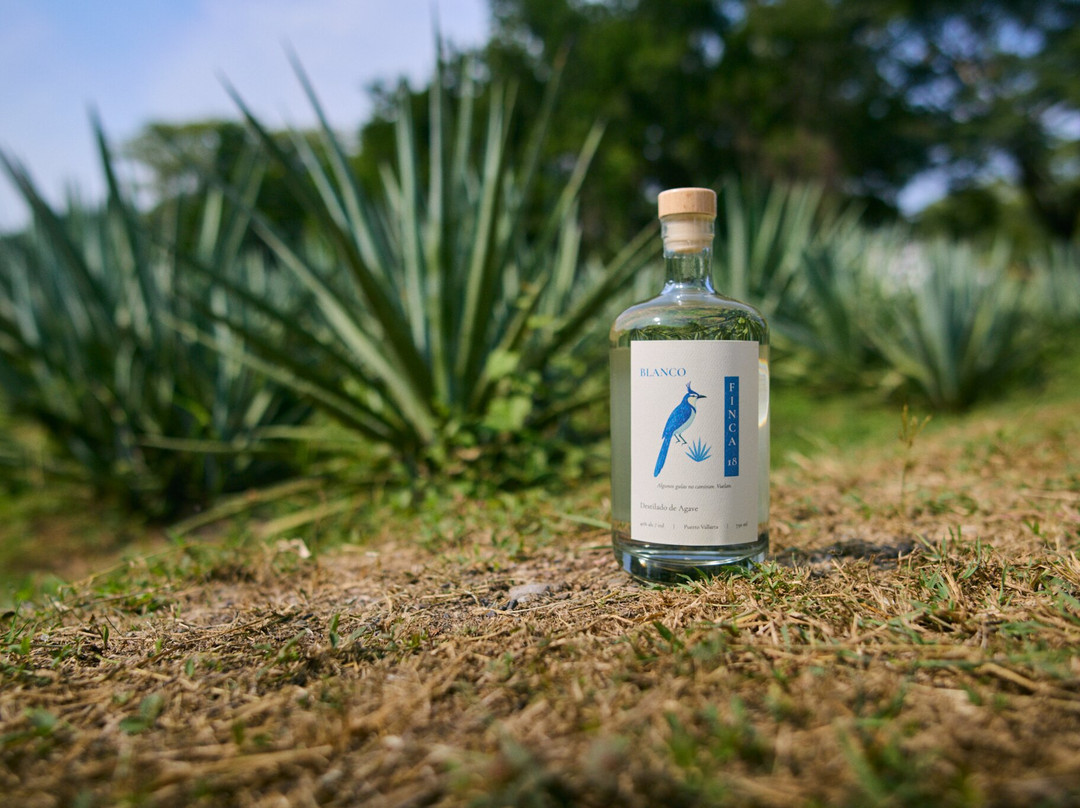 Finca 18-瓦拉塔港必去景点