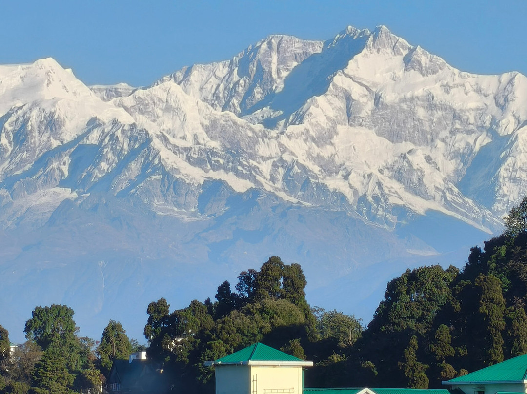 Sumitel Hotel 500 meters from Mall Road主图