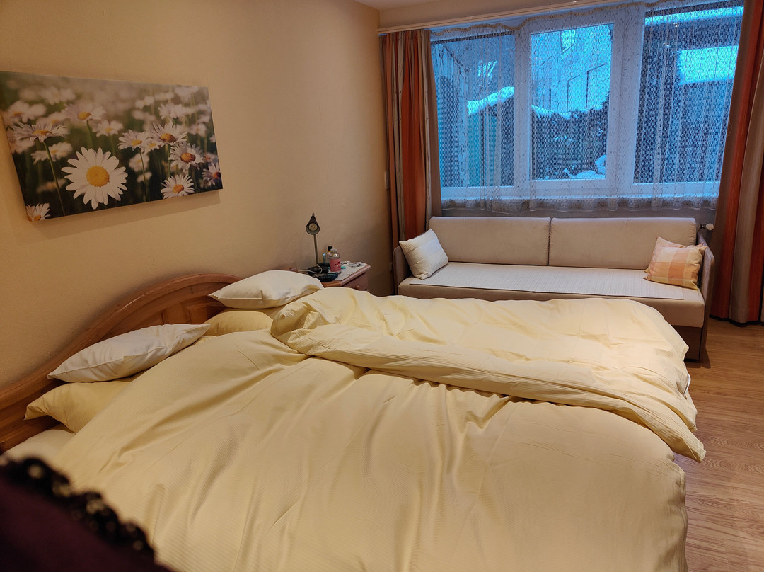 瓦得豪斯伊格斯酒店主图