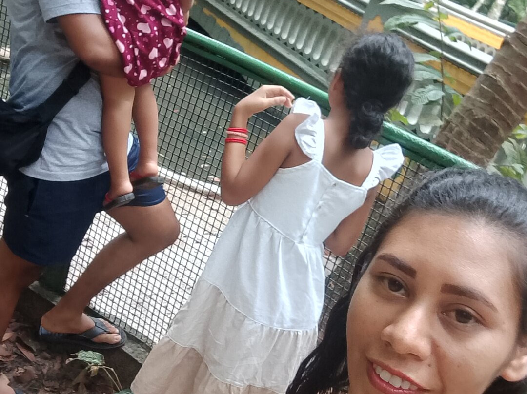 Bosque Rodrigues Alves - Jardim Botanico da Amazonia-贝伦必去景点