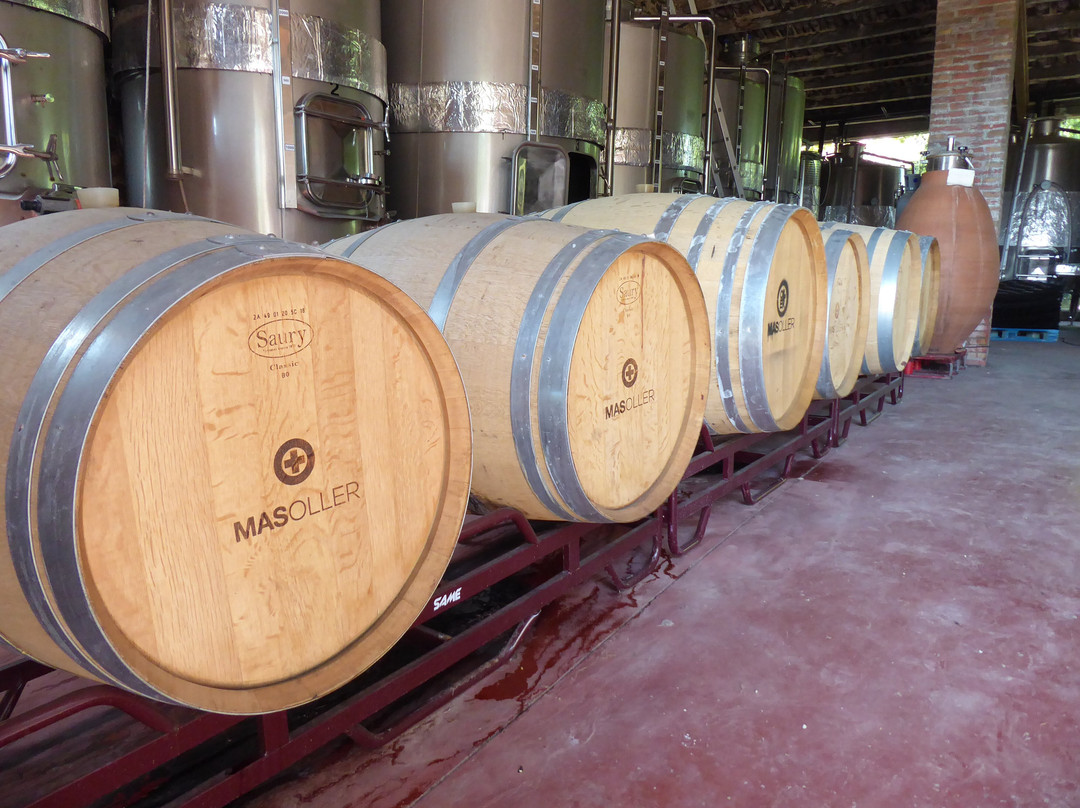 Mas Oller-Torrent必去景点