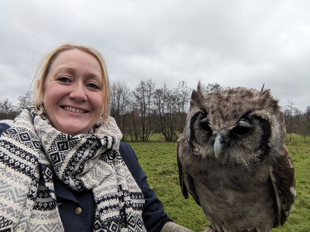 UK Owl And Raptor Centre-Groombridge必去景点