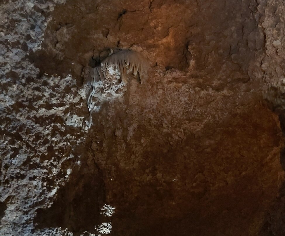 Harrison's Cave Eco-Adventure Park-Saint Thomas Parish必去景点