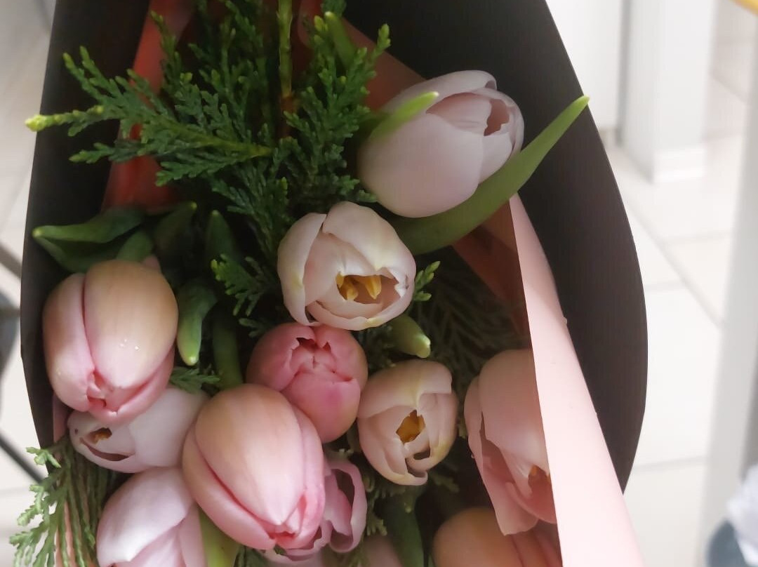 La Primavera-布雷西亚必去景点