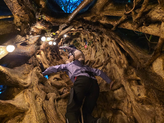 Finca Modelo Ecologica-蒙特沃德必去景点