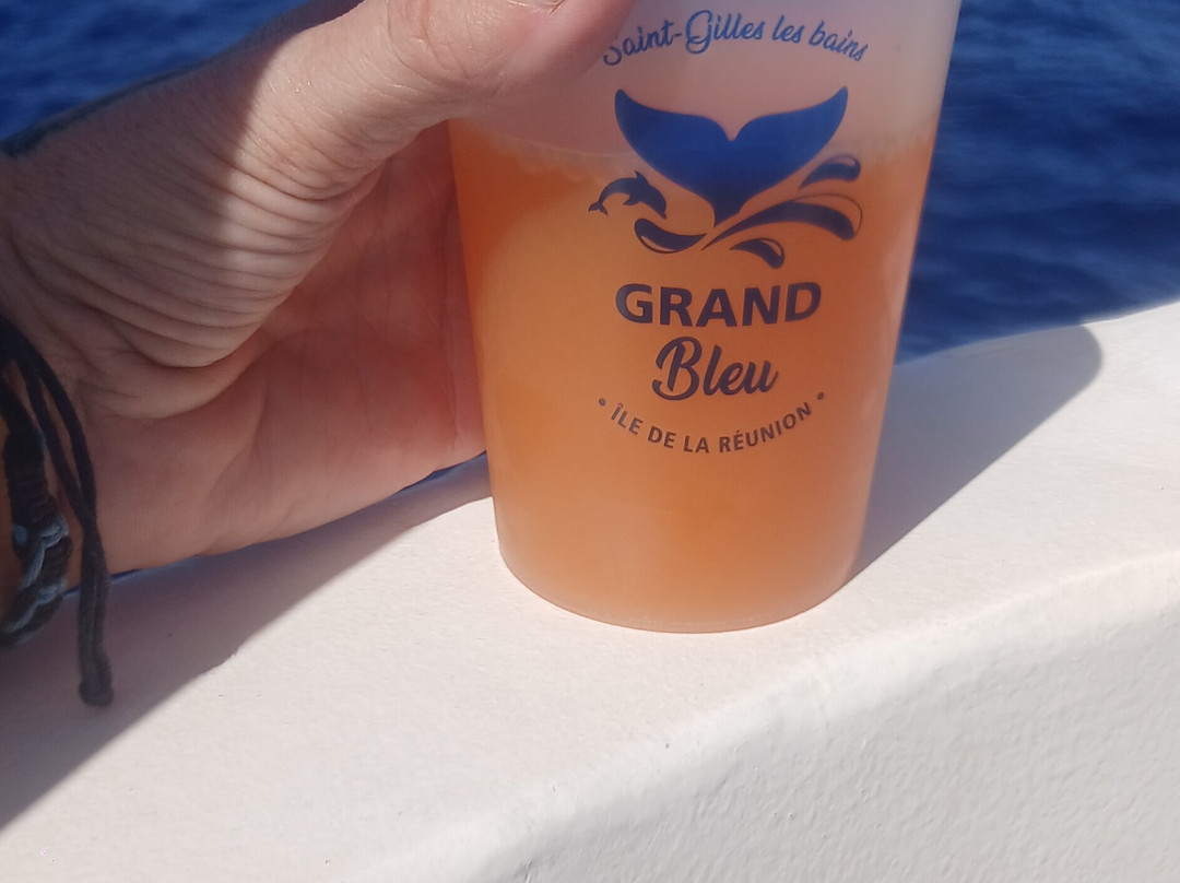 Croisieres & Decouvertes - Le Grand Bleu-圣吉尔莱班必去景点