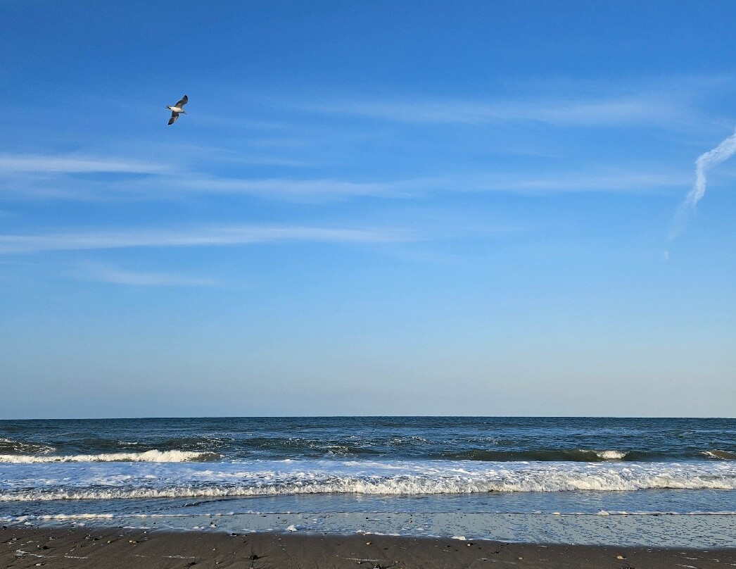 Hemsby Beach-Hemsby必去景点