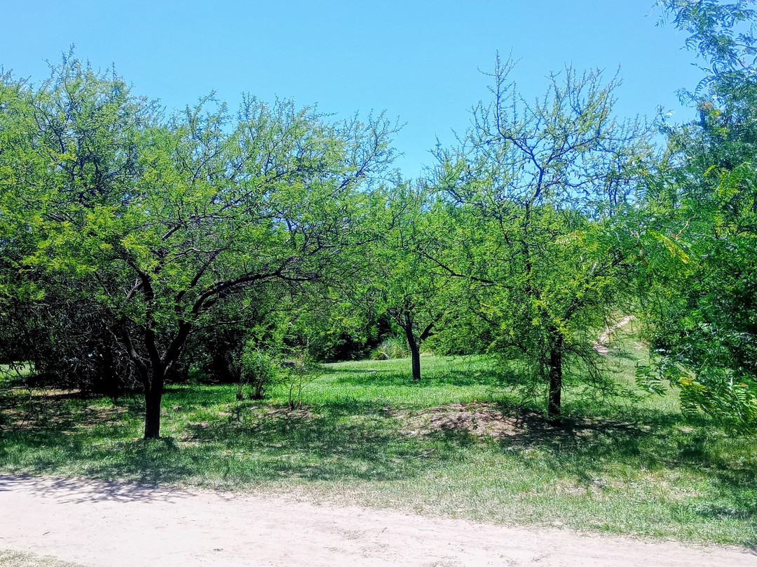Parque Los Robles-Moreno必去景点