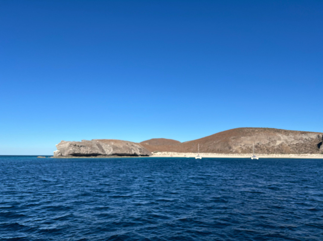 Baja Off Shore-拉巴斯必去景点