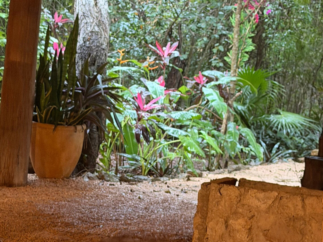 Tsukán Santuario de Vida-Piste必去景点