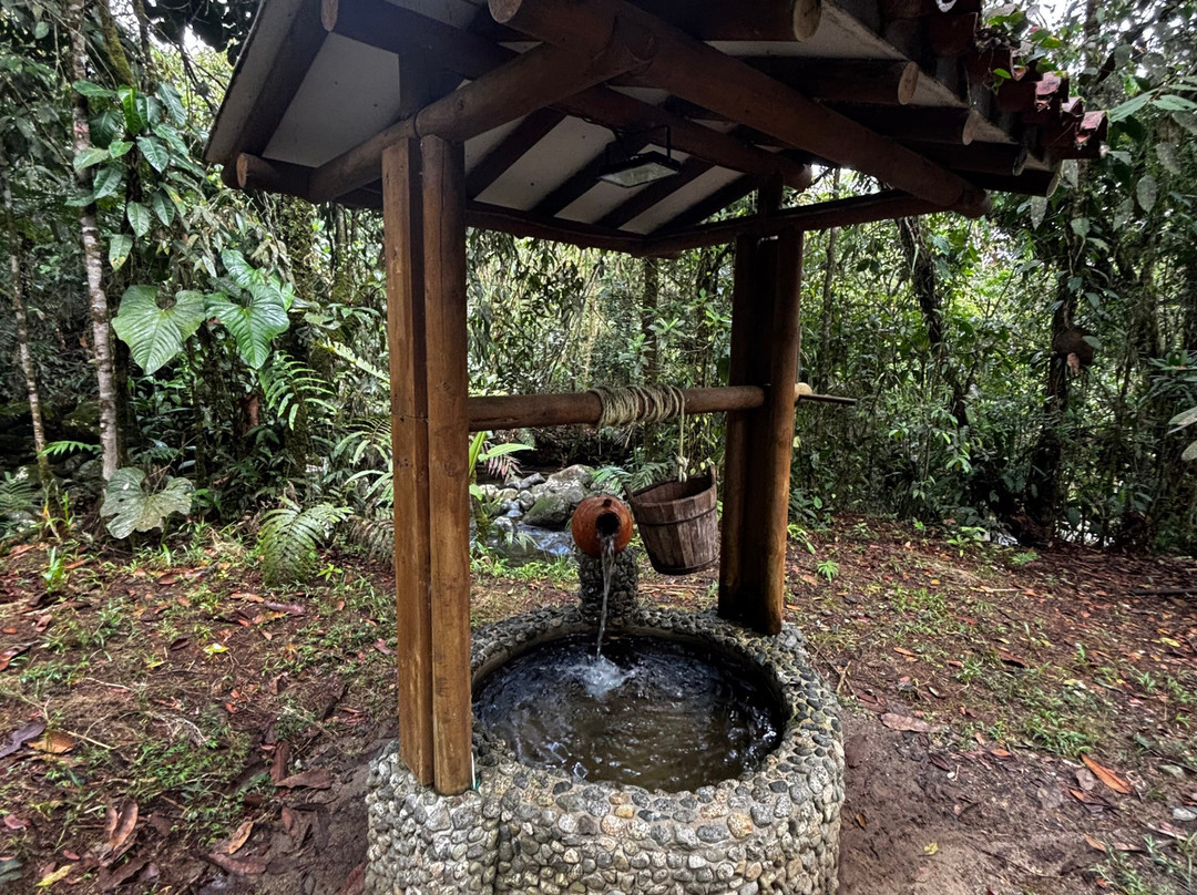 Manantiales del Campo主图