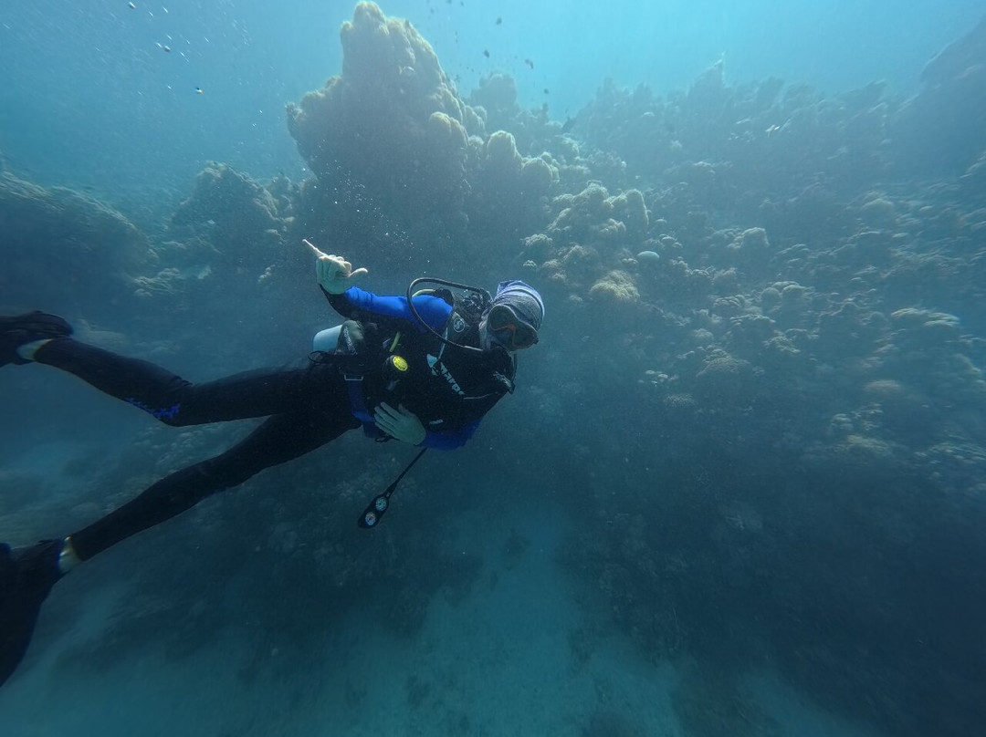 Diving Bubbles-Yanbu必去景点