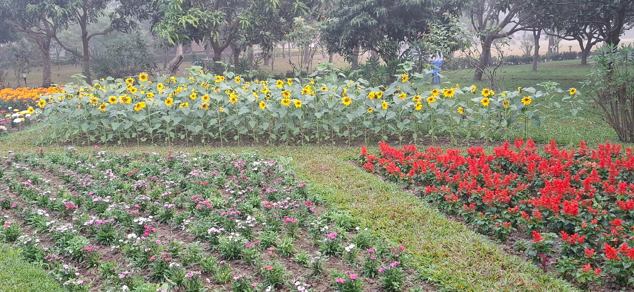 Dream Square Resort-官方