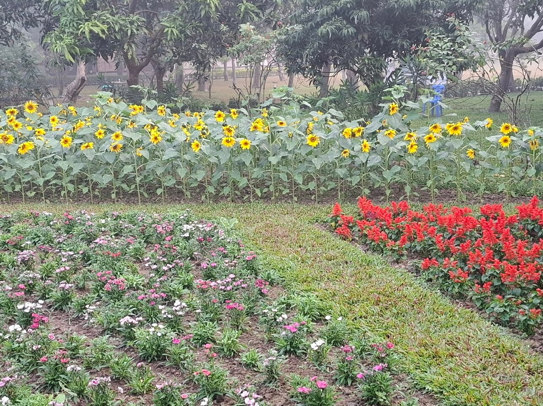 Dream Square Resort主图