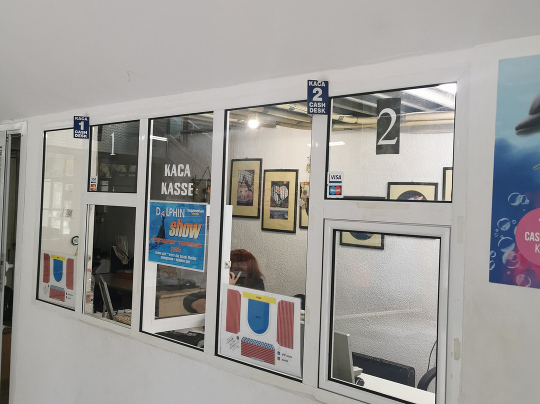 Dolphinarium-瓦尔纳必去景点