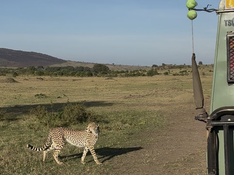 Lassic Africa Tours-内罗毕必去景点