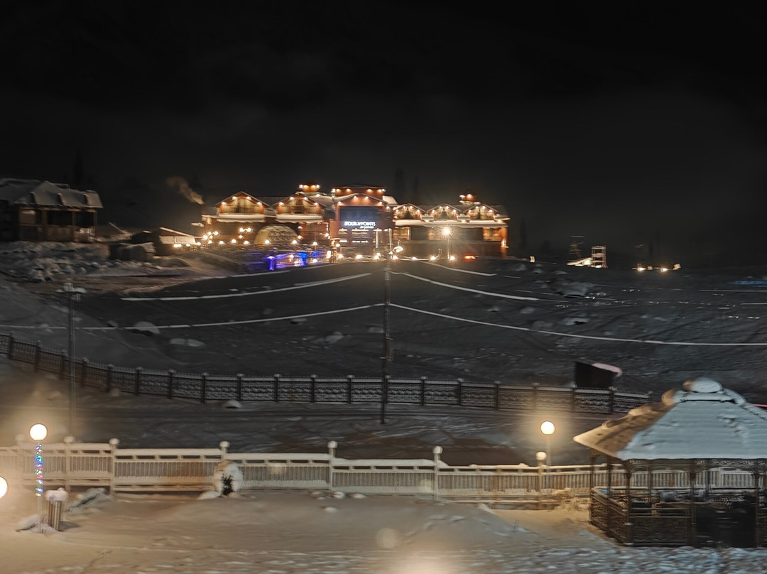 Driver Cum Guide-Sonamarg必去景点