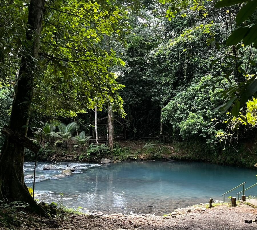 Bijagua Rainforest - Tours-Bijagua de Upala必去景点