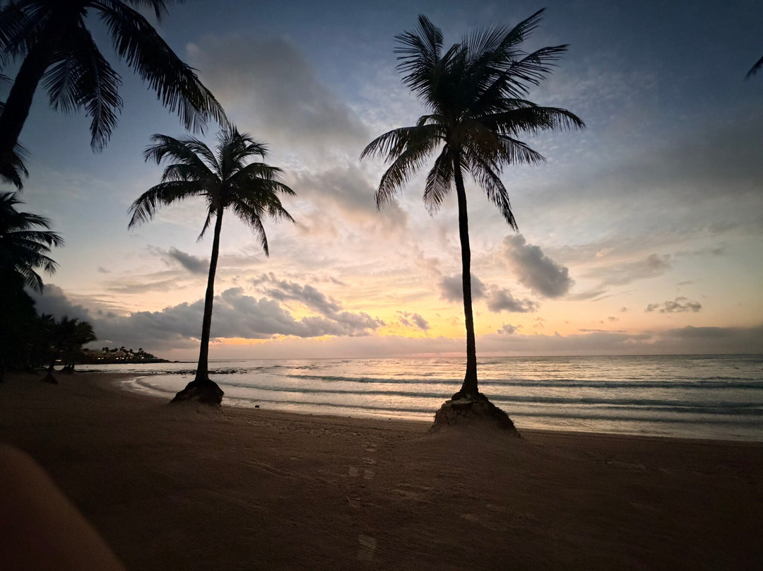 Barceló Maya Grand Resort