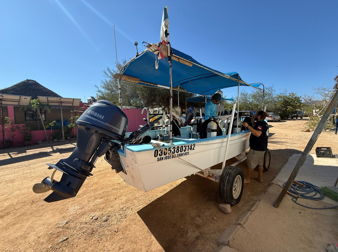 Dive Cabo Pulmo-Cabo Pulmo必去景点