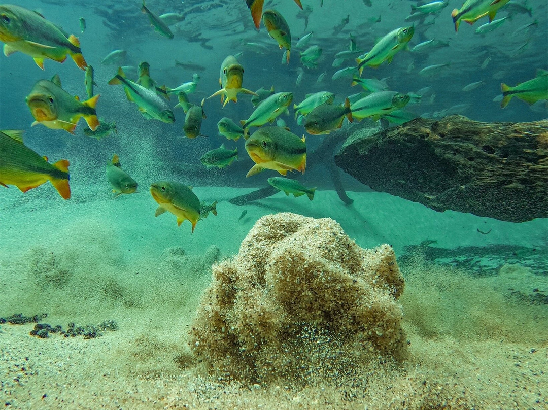 Rio da Prata-南马托格罗索州必去景点