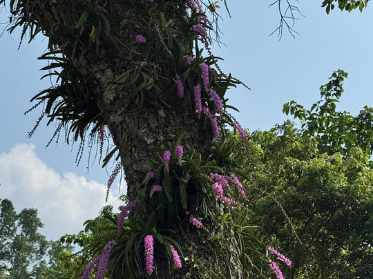 Rupa Lake-博卡拉必去景点