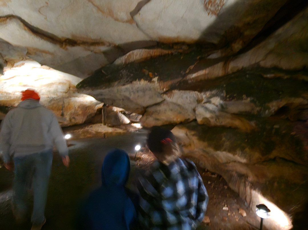 Melrose Caverns-哈里森堡必去景点