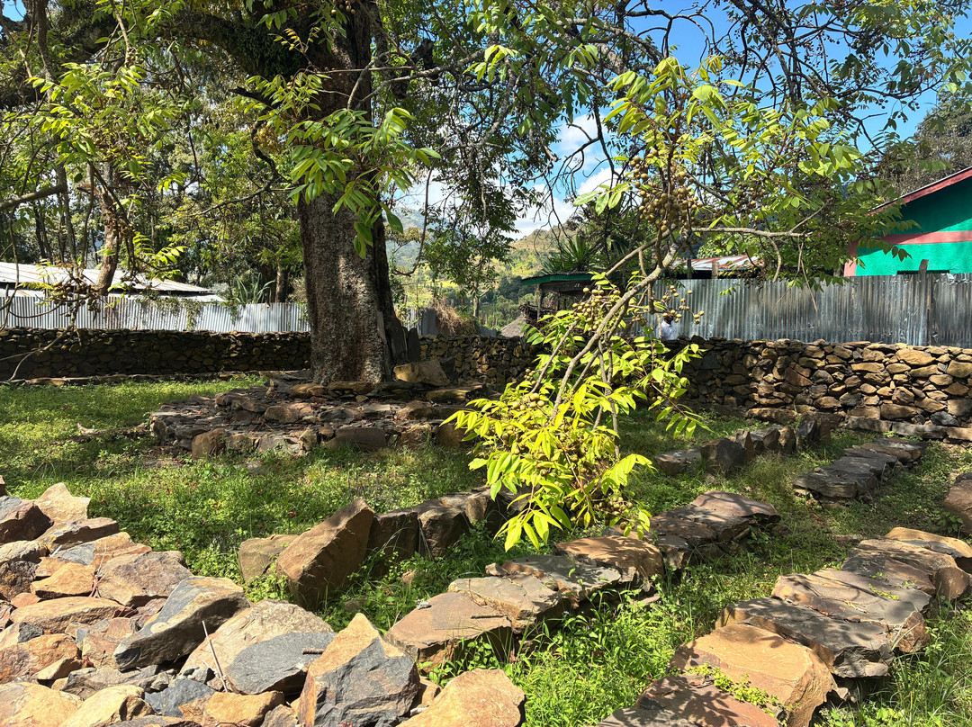 Tarik Rift Valley Tour-Arba Minch必去景点