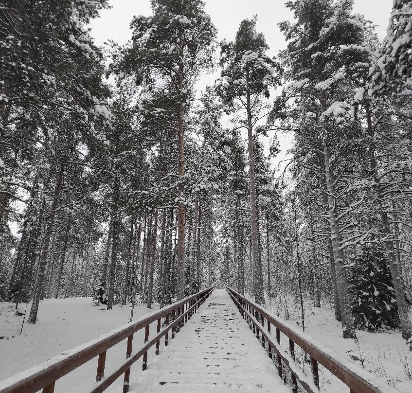 Ounasvaara Winter Trail-罗瓦涅米必去景点