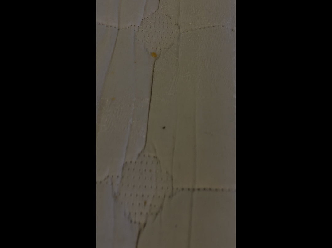 费尔蒙米拉马尔酒店&单层小屋主图