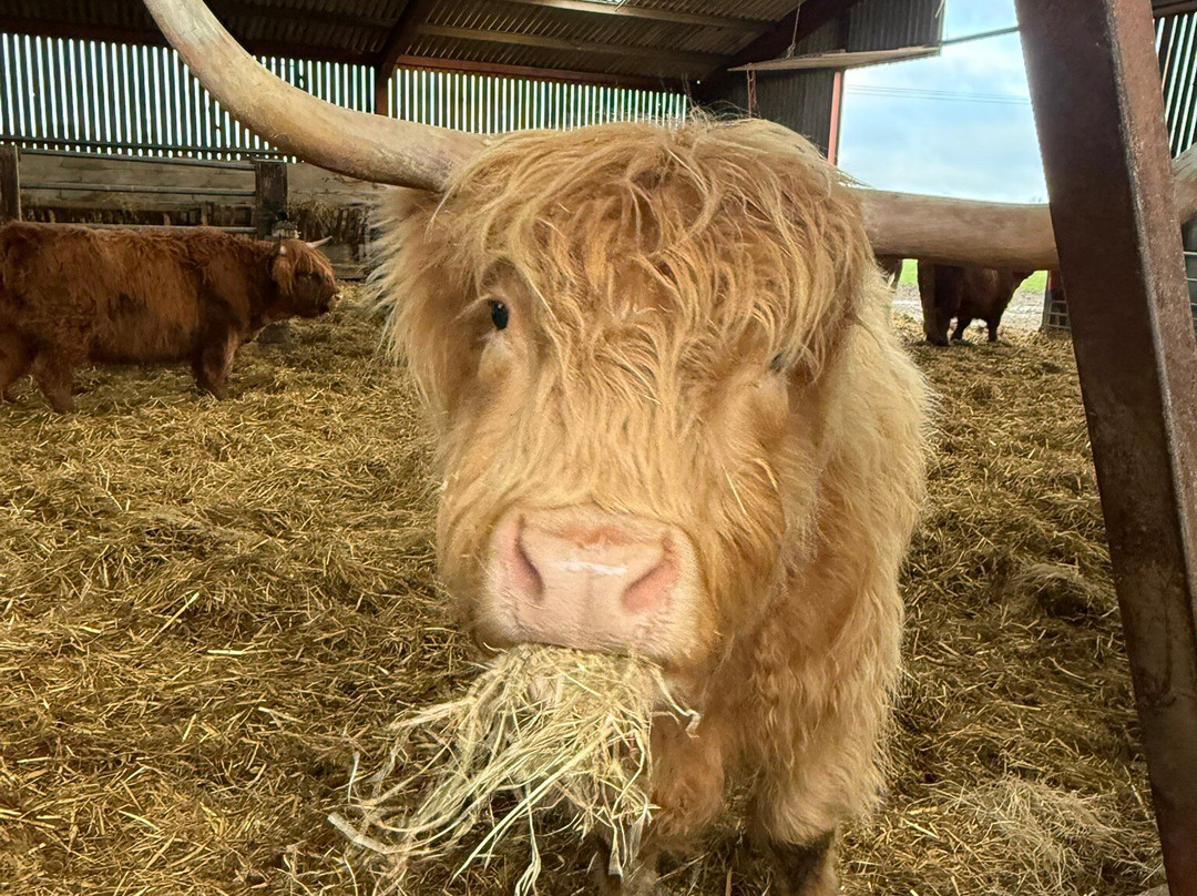 Colready Highlands-Brackley必去景点