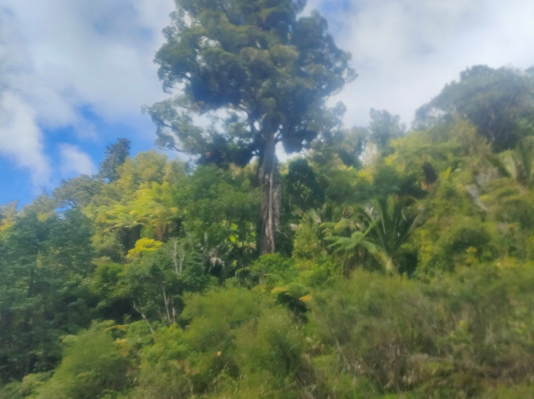 Canoe Safaris-奥阿库尼必去景点