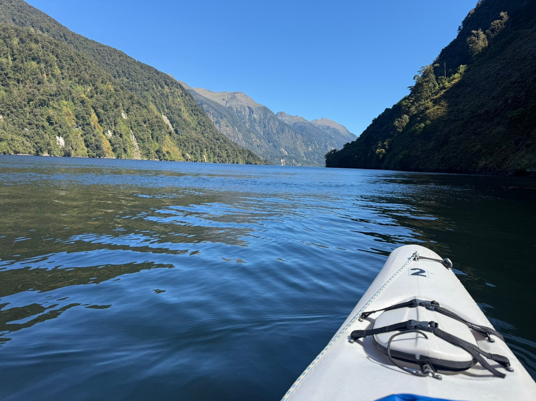 Doubtful Sound Kayak-马纳普里必去景点