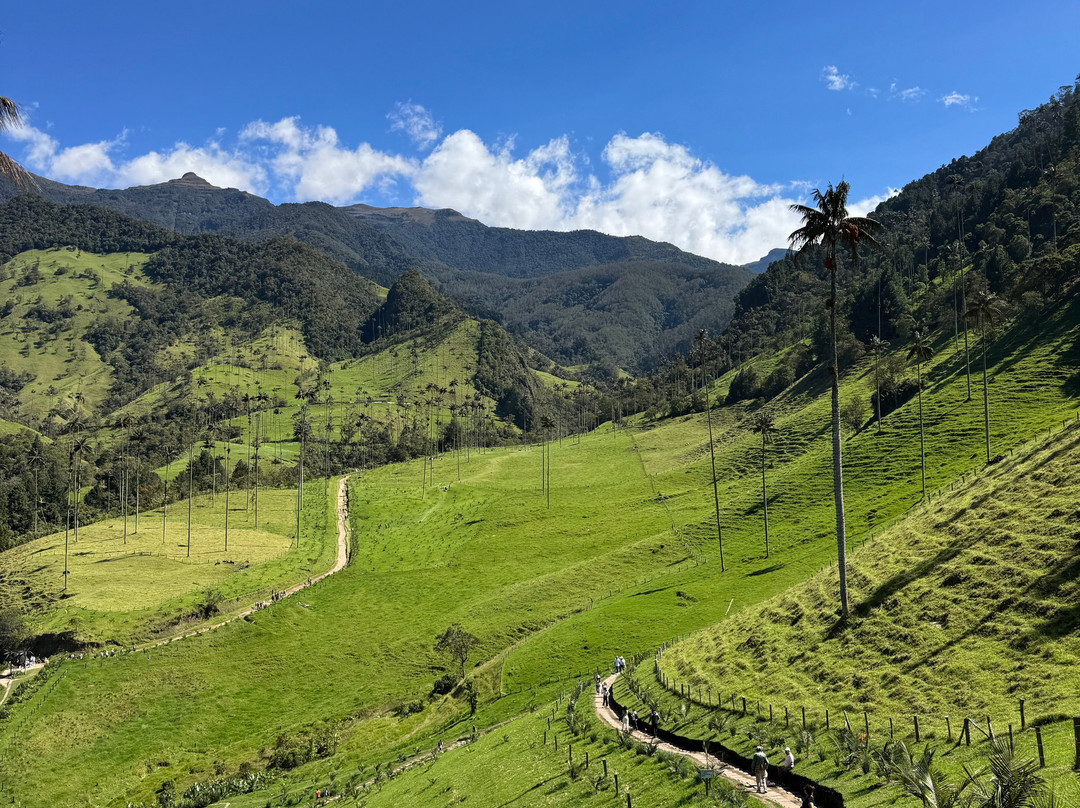 Magic Tours del Café-亚美尼亚必去景点