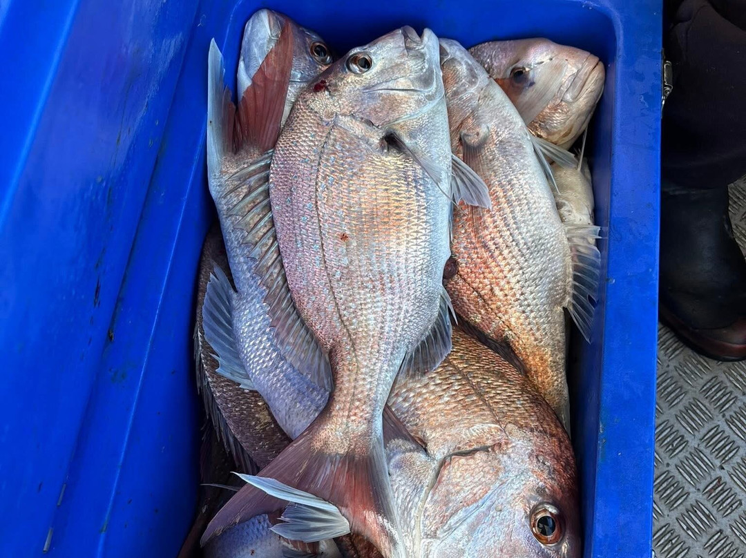 Venturer Fishing Charters