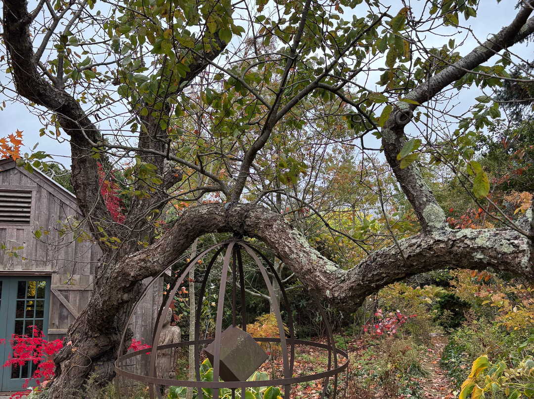 Farmhouse Inn Bed and Breakfast主图