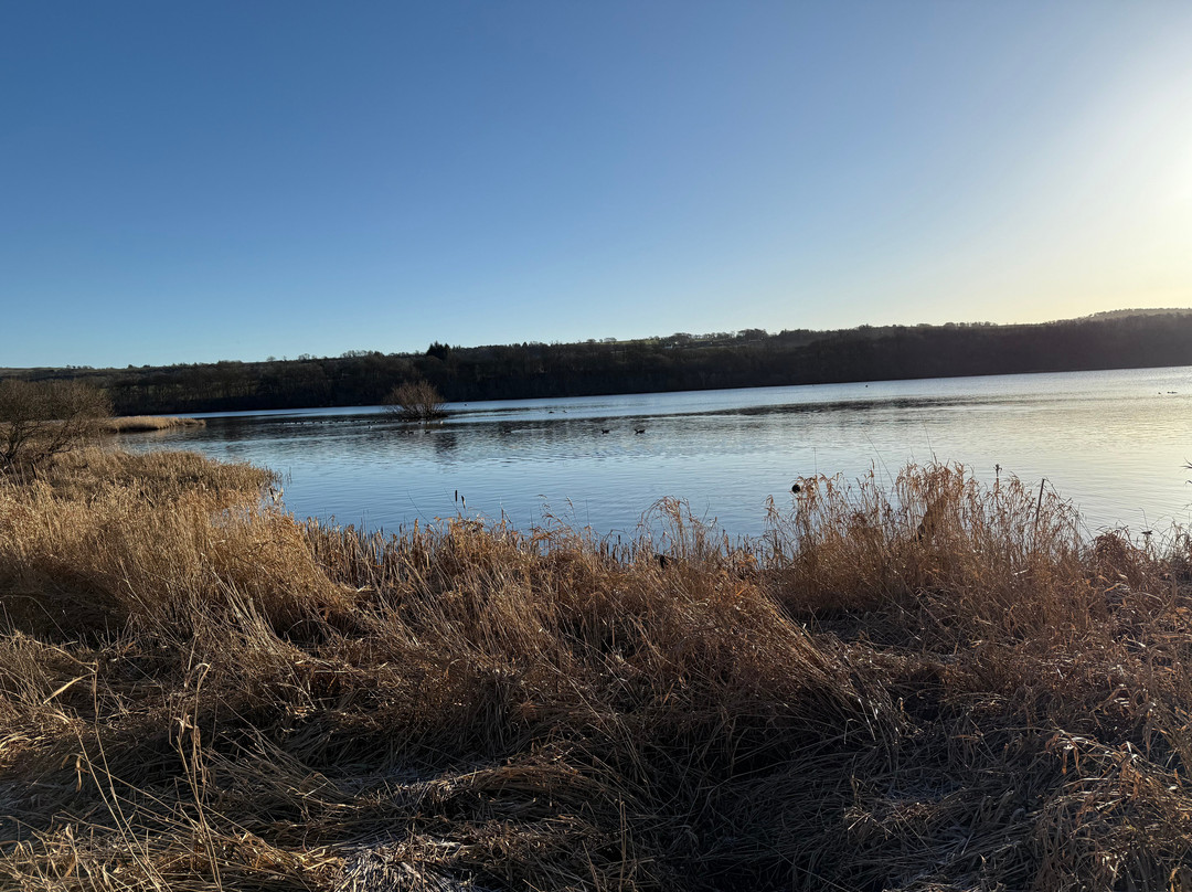 Castle Semple Country Park-Lochwinnoch必去景点