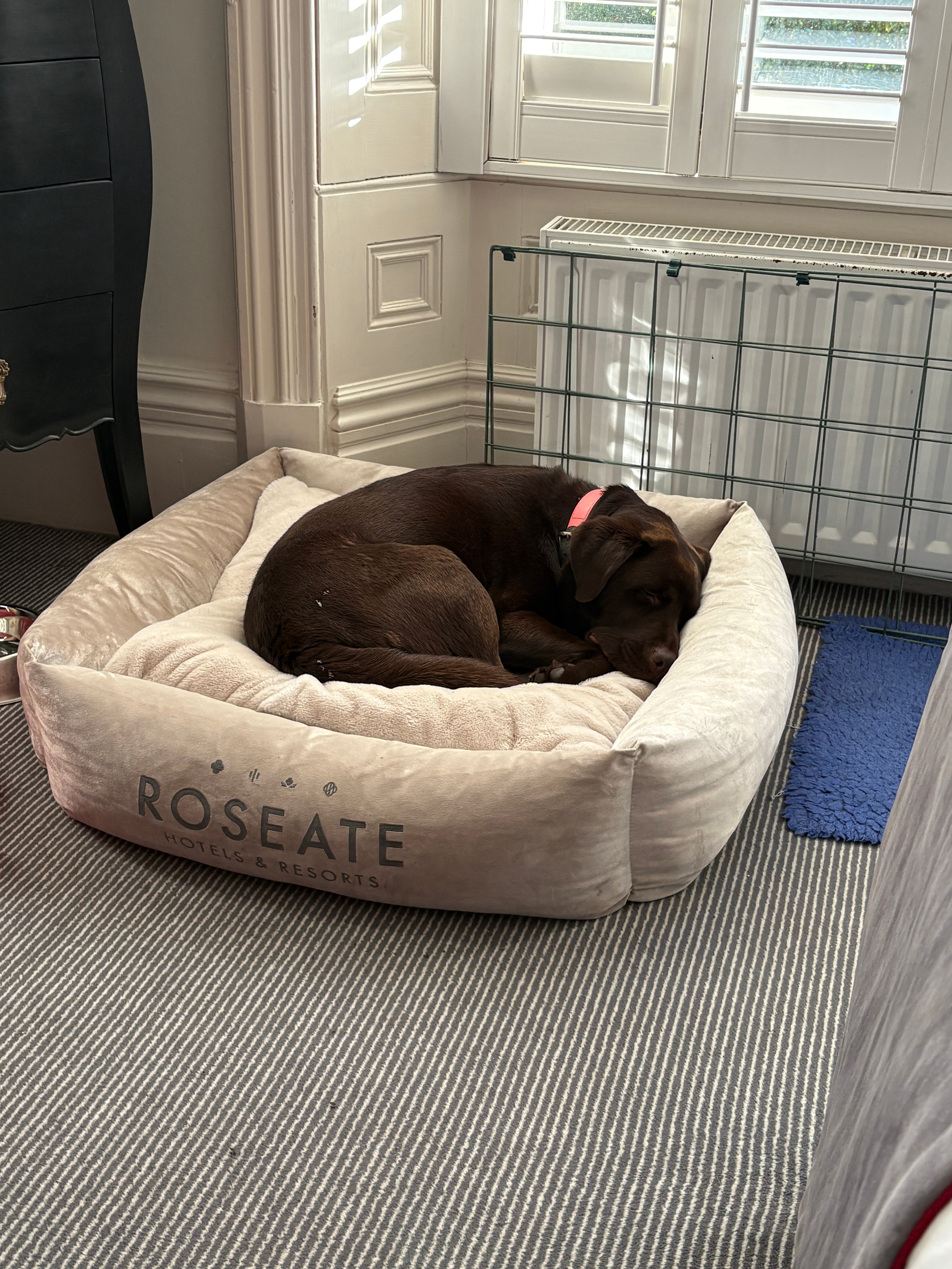 抹大拉别墅酒店-客卧