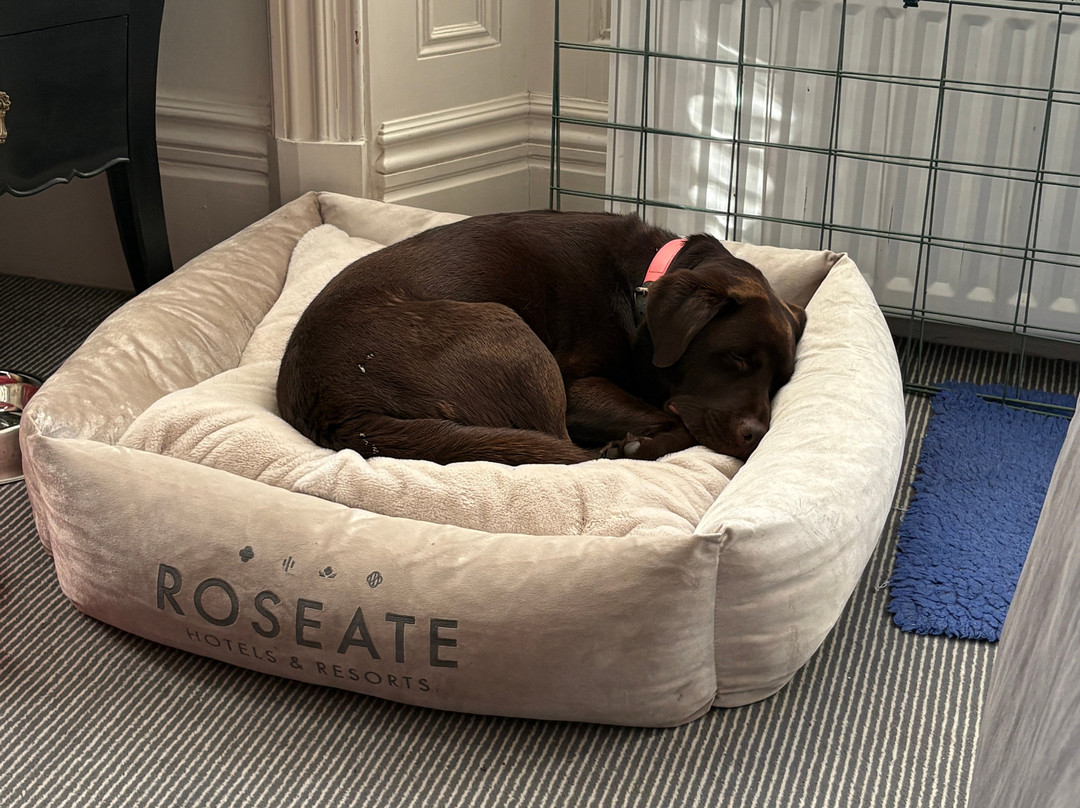 抹大拉别墅酒店主图