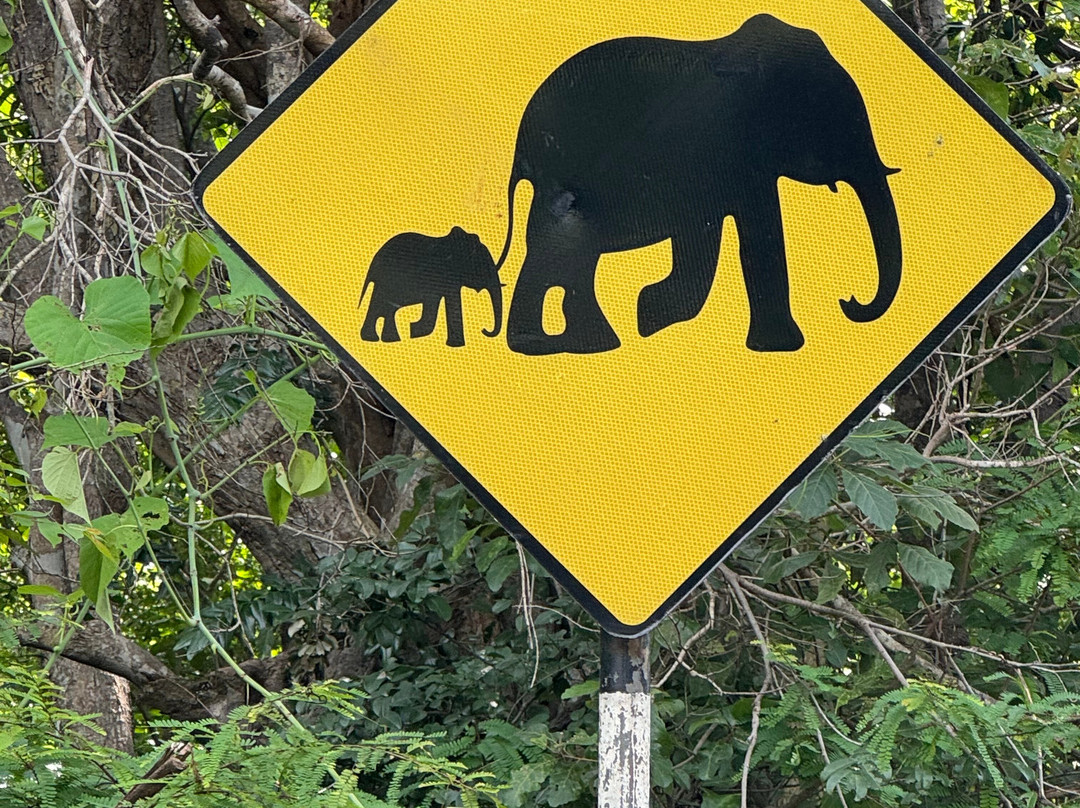 Sri Lanka Lasantha tours-Gampaha必去景点