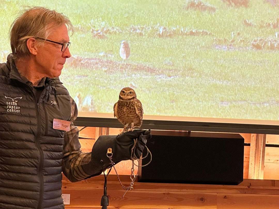 Teton Raptor Center-威尔逊必去景点