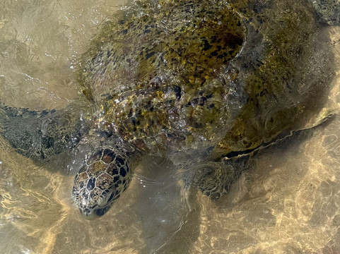 Viraj's Tours-瓦勒迦玛必去景点