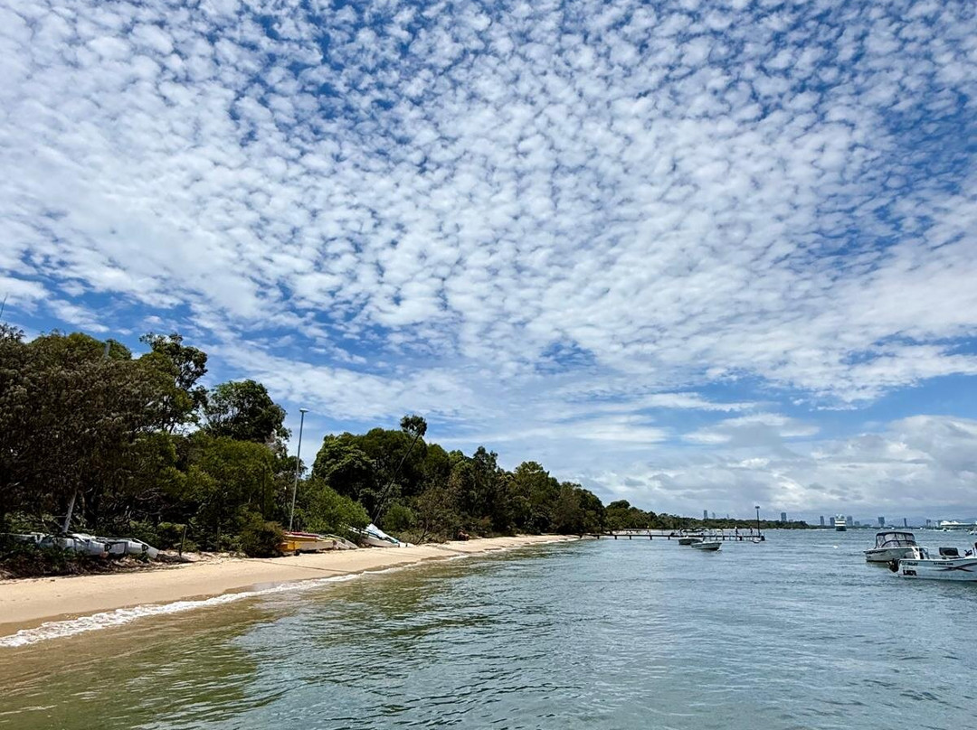 Gold Coast Party Pontoons-Runaway Bay必去景点