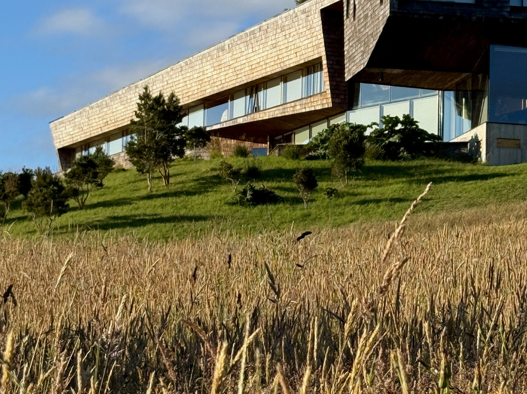 Refugia Chiloé主图