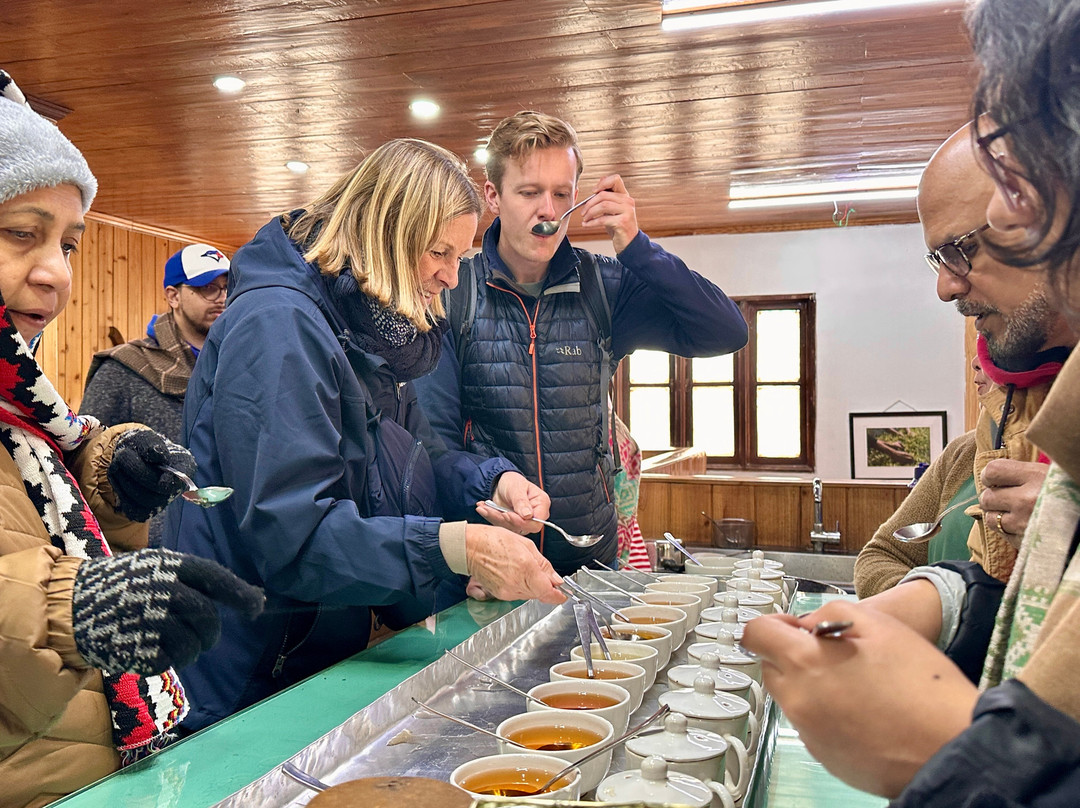 Happy Valley Tea Estate-大吉岭必去景点