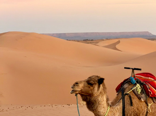 PSP Travel-马拉喀什必去景点